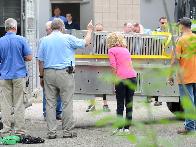 Zanesville animal escape lives on for witnesses