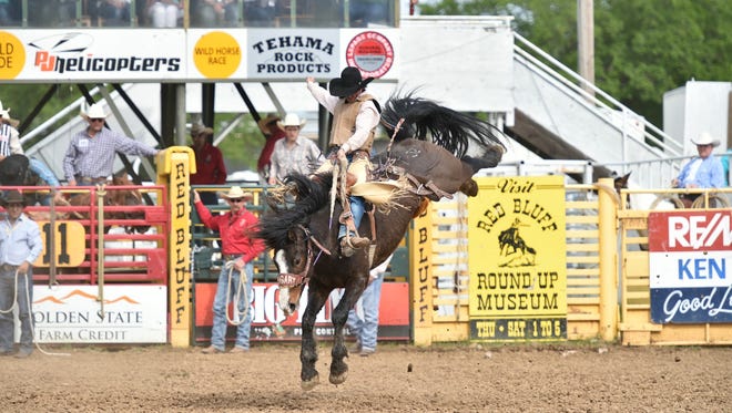 Hardy Braden, the 2017 Red Bluff Round-Up saddle bronc riding champion, rides at the Round-Up. Champions were crowned in each event at the Round-Up, which is billed as the nation’s largest three day rodeo.