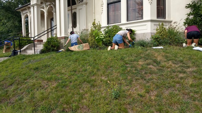 Meadowscaping for Biodiversity, the Belmont Women's Club and Chenery Middle School and Belmont High School student volunteers helped improve the landscaping surrounding the William Flagg Homer House in Belmont.
