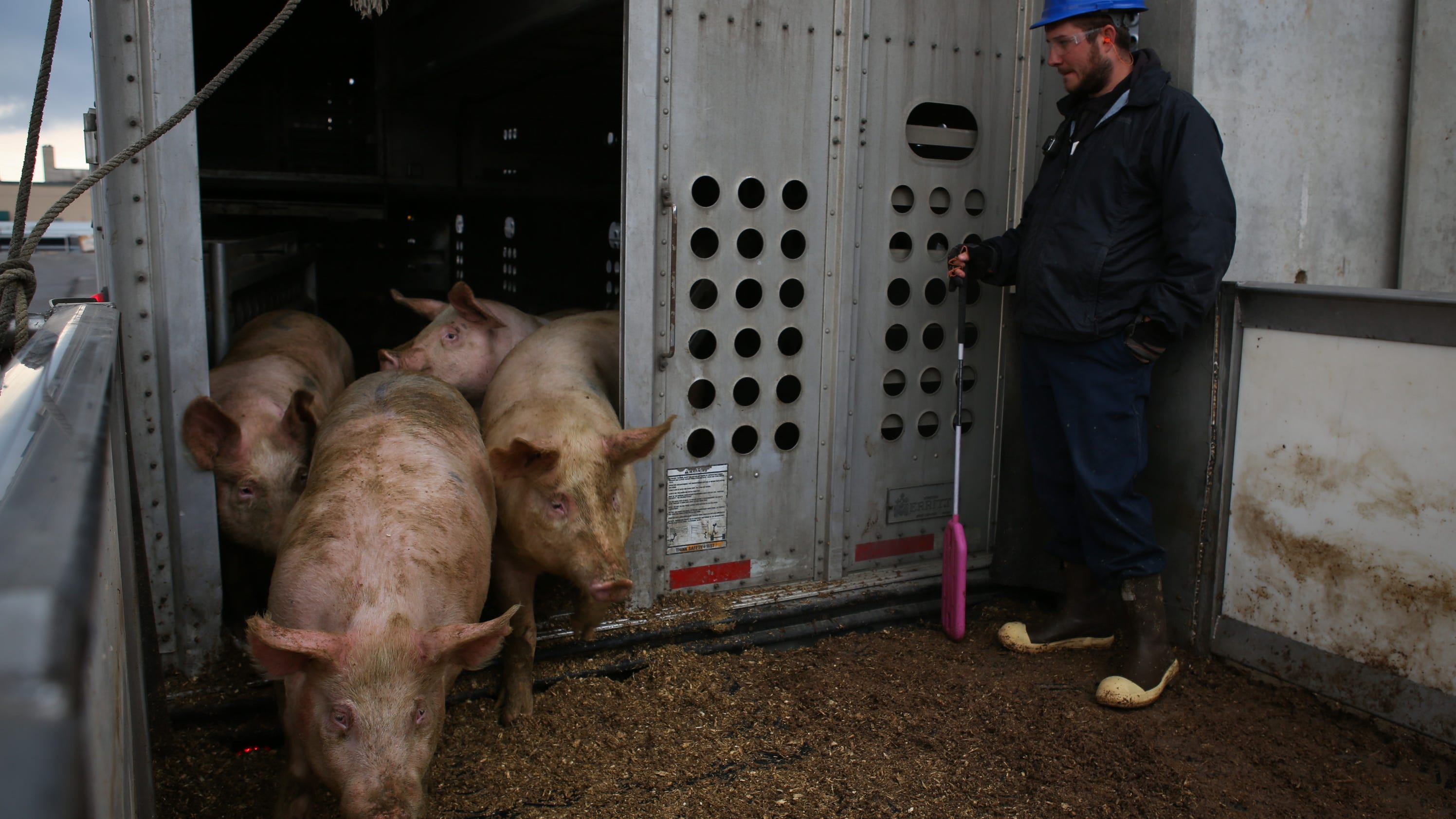 Louisville and JBS slaughterhouse wrestle with ongoing