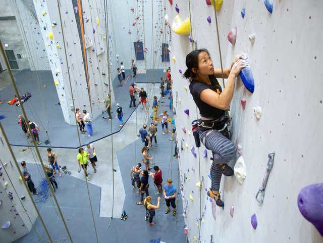 How Much Does Rock Climbing Walls Cost - Wall Design Ideas