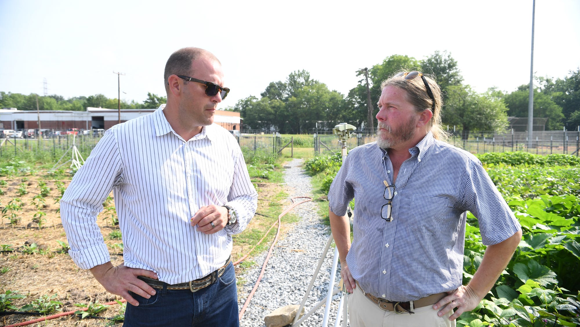 Bacon Bros. to launch butcher shop, new restaurant