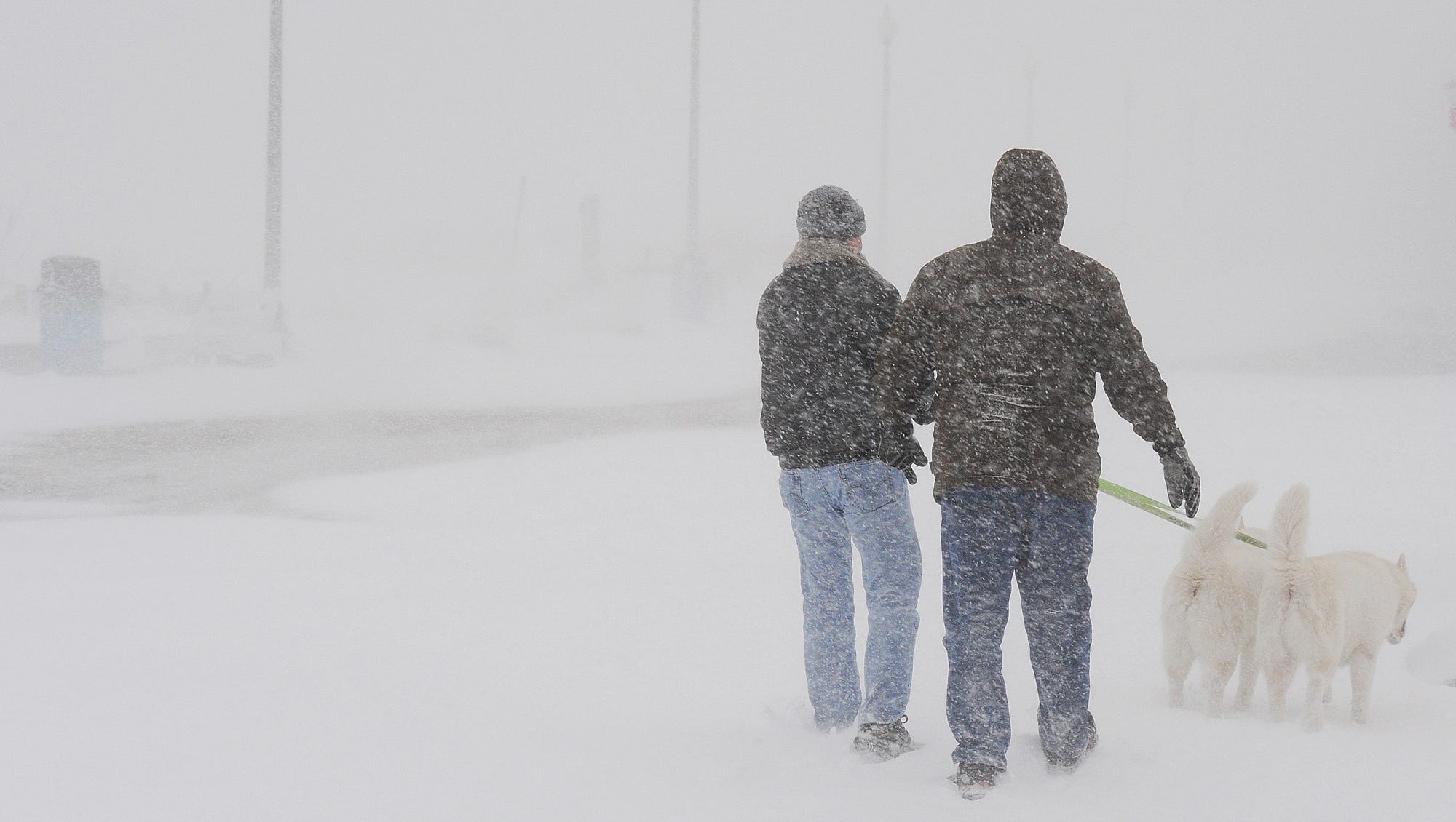 Live Oak, Texas visual data 2