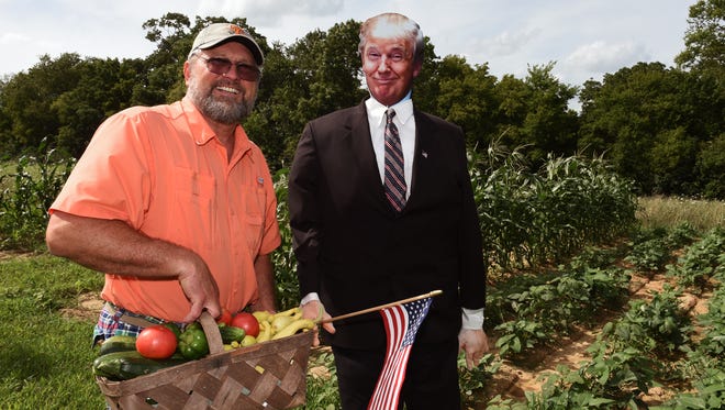 Franklin resident Dave Kelly has create a Donald Trump scarecrow at his farm on Arno Road. In the past he has created Lane Kiffin, Les Miles and John Kerry scarecrows.