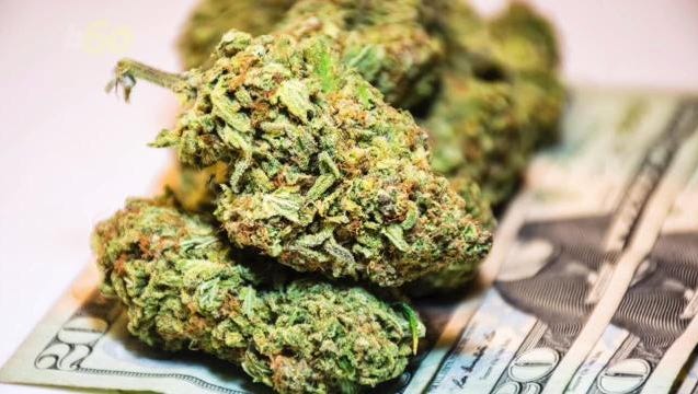 The legalized marijuana industry is growing more than pot. Analysts say it could create over a quarter of a million jobs while other industries decline.