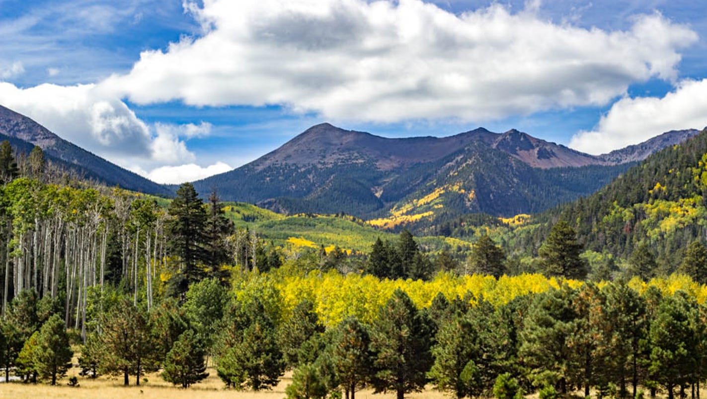 Explore My Arizona Fall colors on Flagstaff's Inner Basin Trail