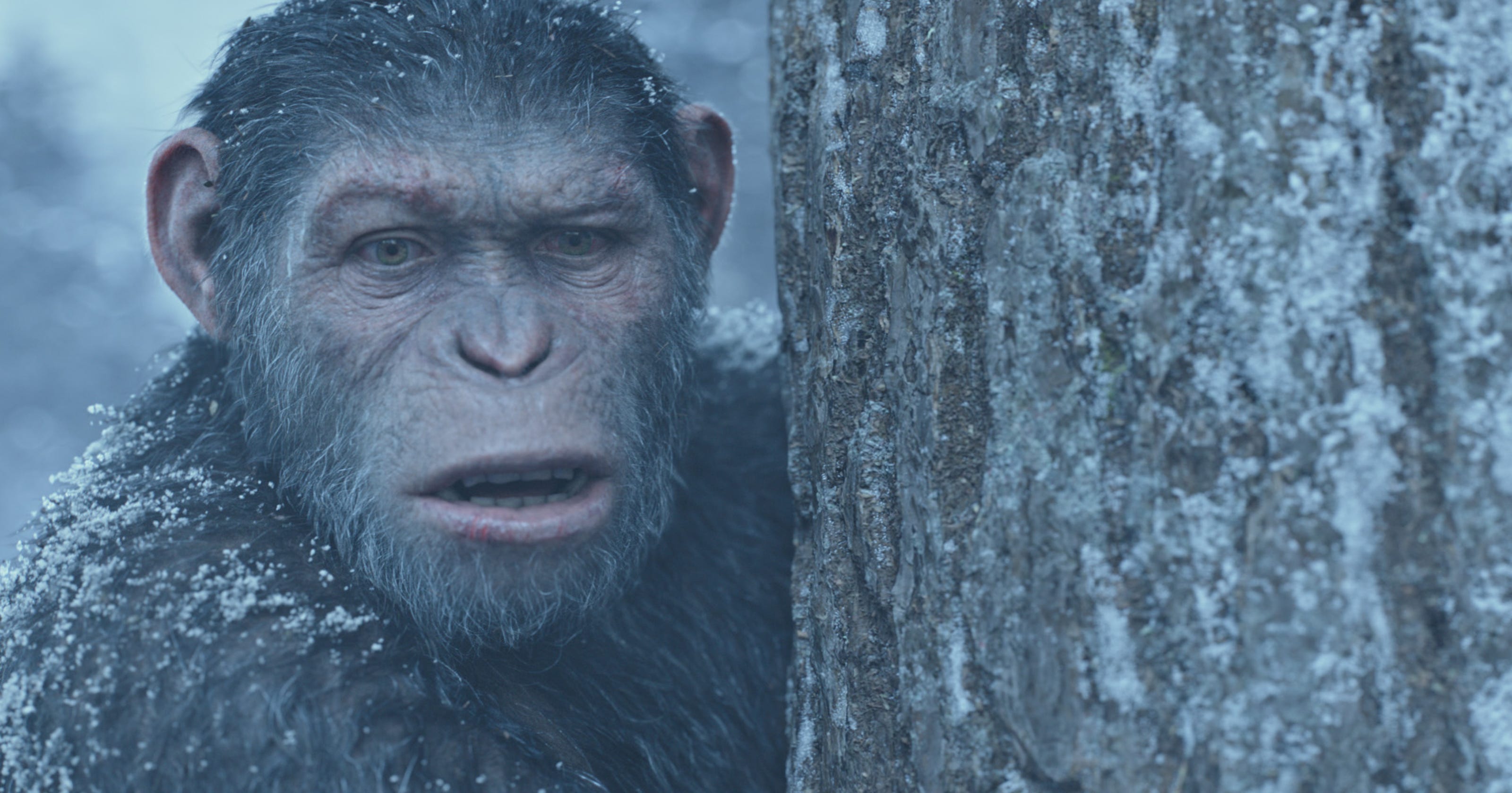 Box Office War For The Planet Of The Apes Roars Past