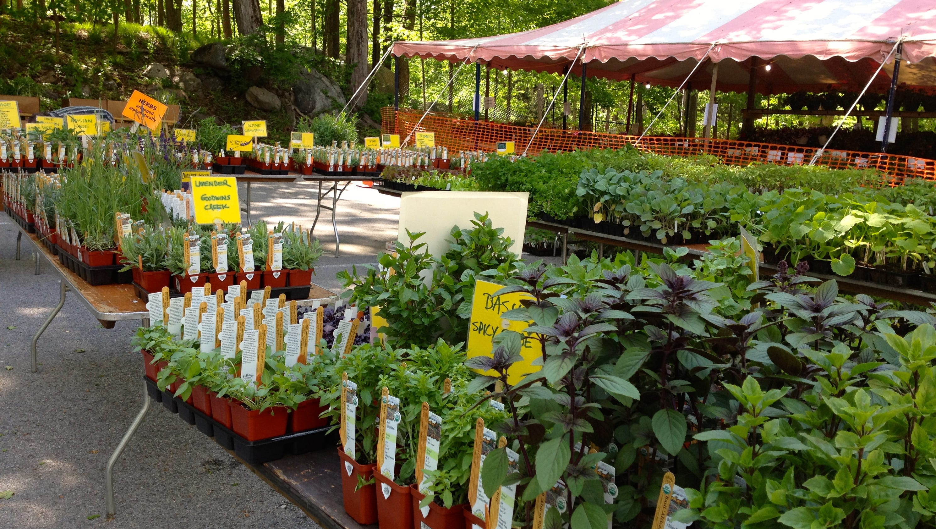Find flowers for mom Plant sales continue Saturday