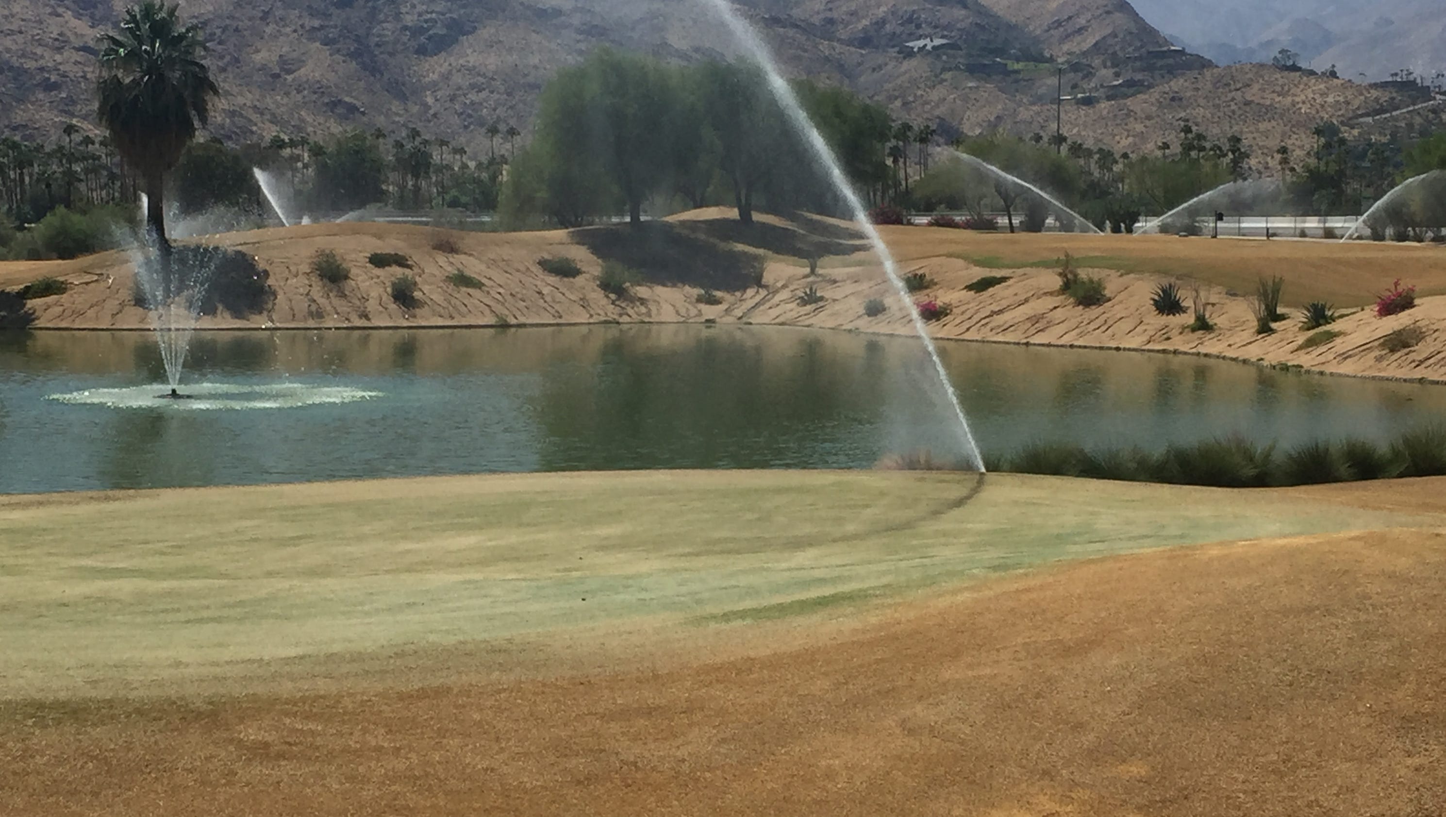 Overseeding has hit Coachella Valley golf courses Here's how it'll