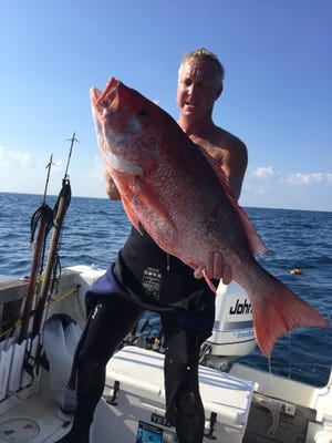 Local diver Finis Calvert with a nice red snapper he shot during last years Florida state waters red snapper season.