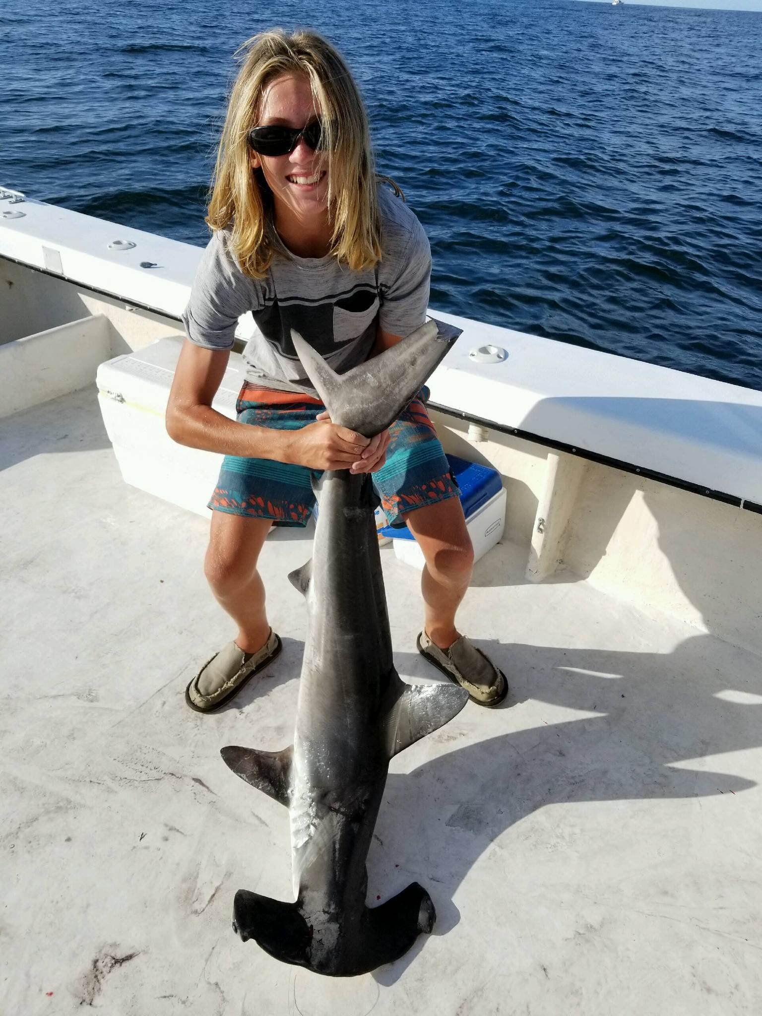 Hammerhead shark caught, released on Sea Girt Reef