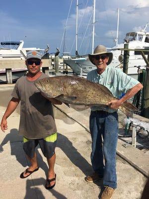 A 42-pound gag grouper caught by angler Scott Pingrin aboard the Super Critter in Ponce inlet.