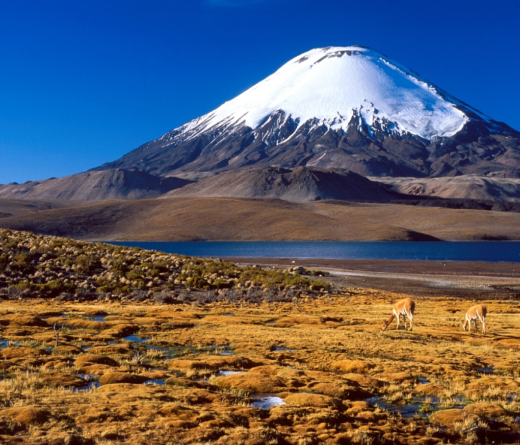 Chungara Lake and a nearby volcano in Chile are among the sites that passengers will have a chance to see on a Silversea cruise in 2018.