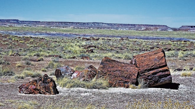 Giant petrified logs dot the landscape in the Petrified Forest National Park.
