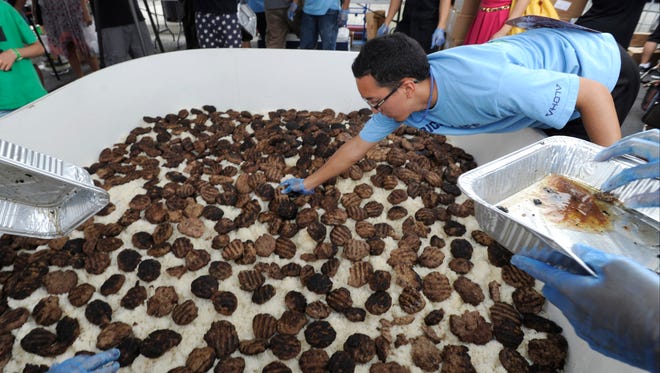 In this Sunday, Sept 28, 2014 photo, Yutaro Kondo, right, reaches over to put a beef patty on a layer of beef patties on top of a layer of rice on the giant Loco Moco in Honolulu, Hawaii. In an attempt to set the Guiness World Record for the world's largest loco moco, chef Hideaki "Santa" Miyoshi of Tokkuri-Tei used 600 lbs. of rice 300 lbs. of beef, 200 lbs. of gravy and 300 eggs put together in a huge "bowl" during the 5th Annual Rice Festival on Auahi St. in the Ward Centers area to honor Hawaii's beloved grain and bring family and friends together with food, entertainment and activities.