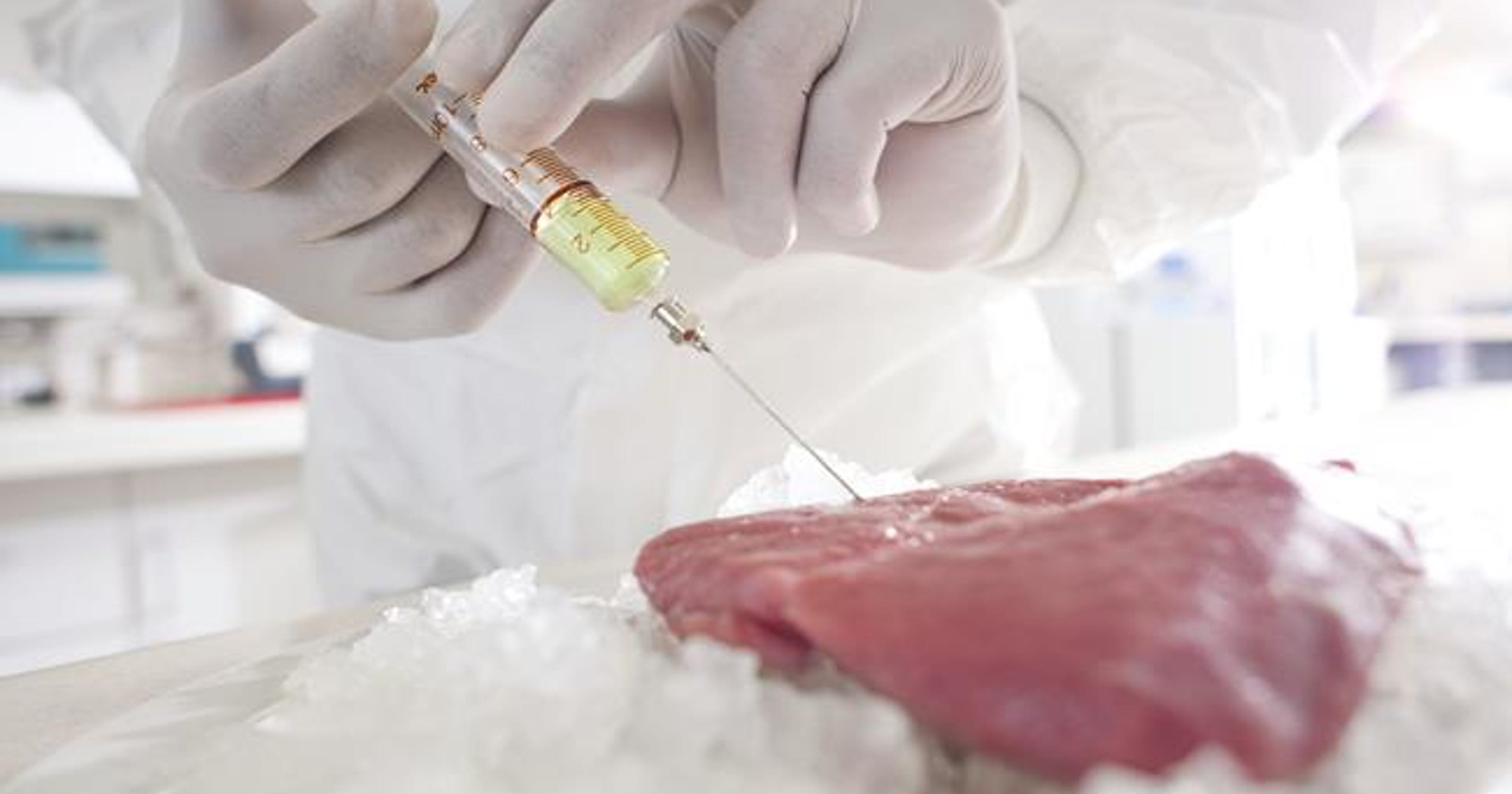 Growing meat … in the lab