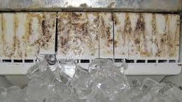Pennsylvania  food safety inspectors frequently find mold and slime -- various strains of bacteria -- on restaurant ice-makers and drink dispenser nozzles.