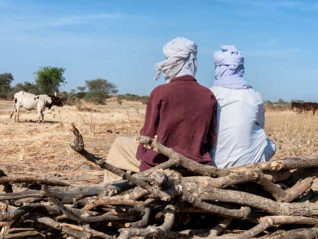 Afghanistan Madagascar Malawi Among The Poorest In The World