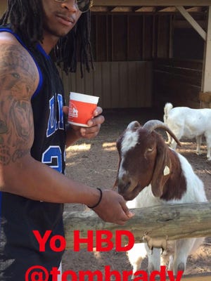 Todd Gurley Wished Tom Brady Happy Birthday With Goat Photo