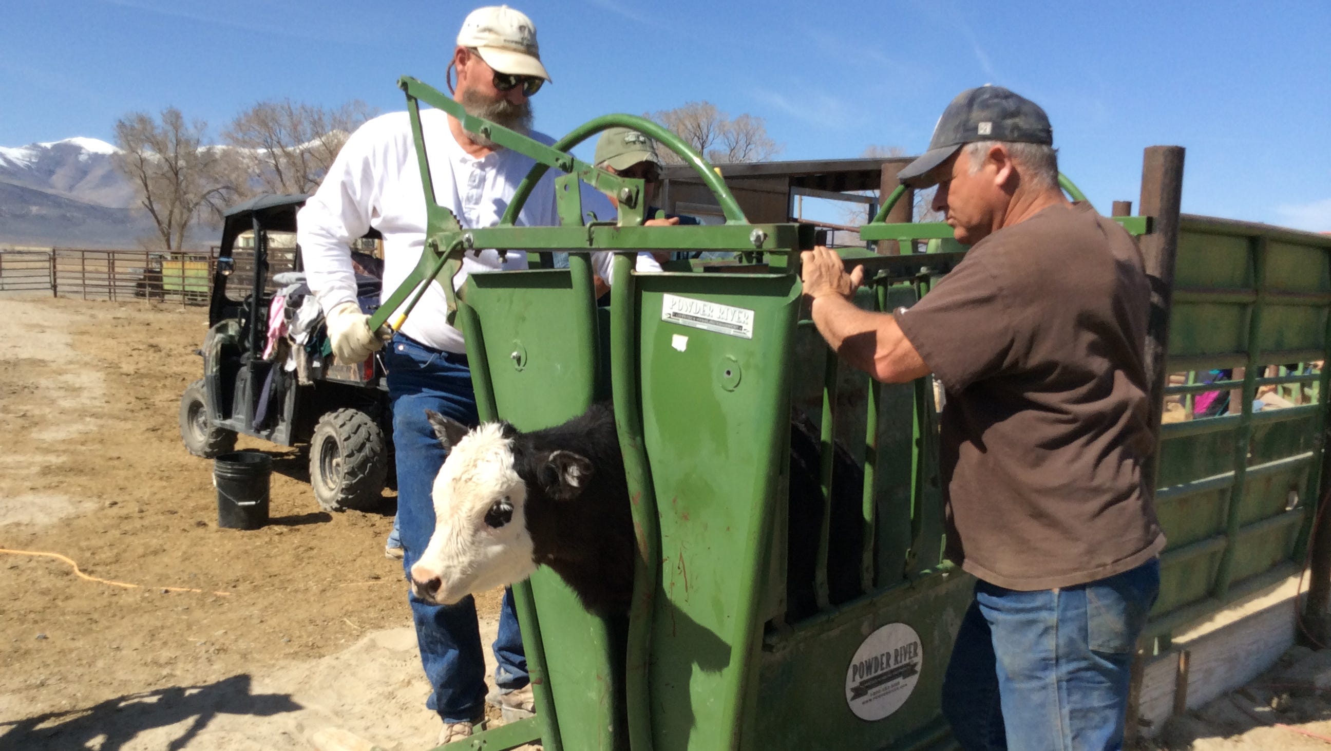Reno Rebirth New meat plant helps Nevada ranchers, consumers