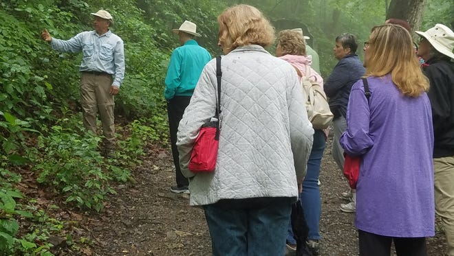 The Spring Wildflowers walk is a great way to explore some of Chimney Rock State Park's more moderate hiking options while learning about its colorful spring flowers.