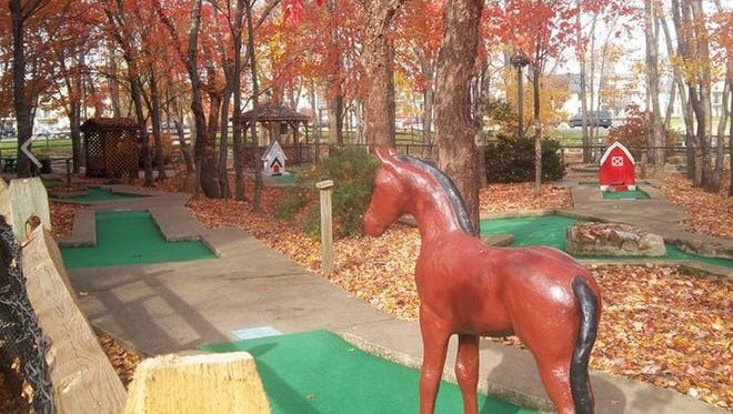 This brown pony, shown last fall, was stolen over the weekend from Hole 4 at Vince’s Sports Center at Gender and East Chestnut Hill roads in Ogletown.