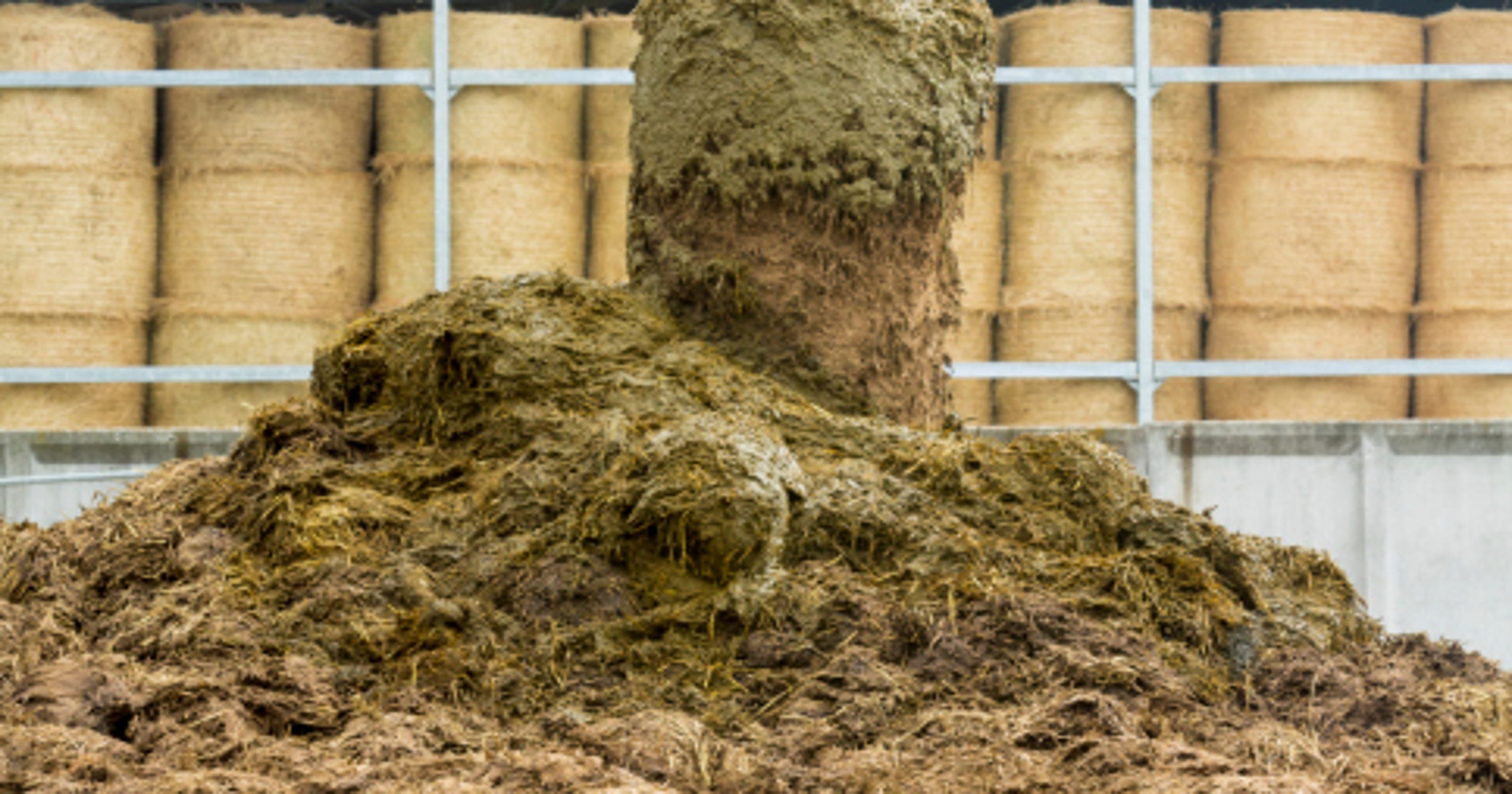 DNR: Manure plant spewing too many toxic chemicals