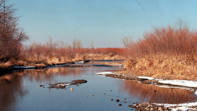 A lazy Poudre River winds its way through the Running Deer Natural Area.