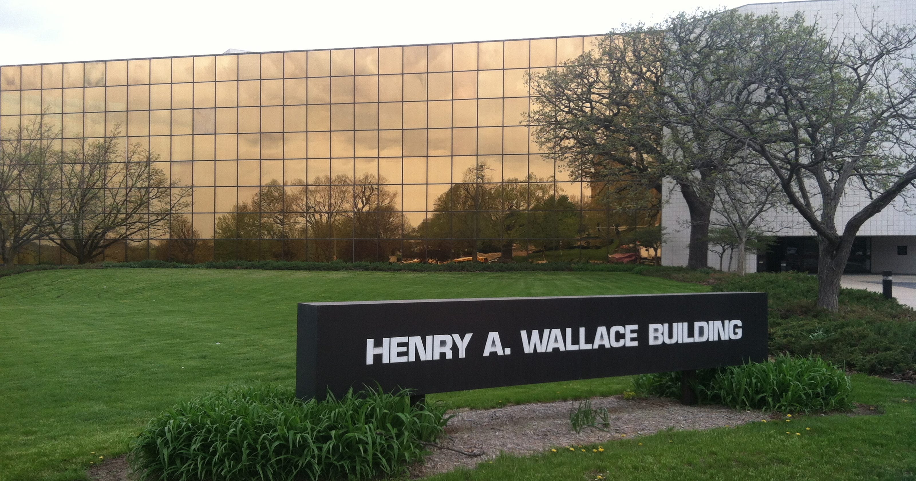 Lead dust found in Wallace Building