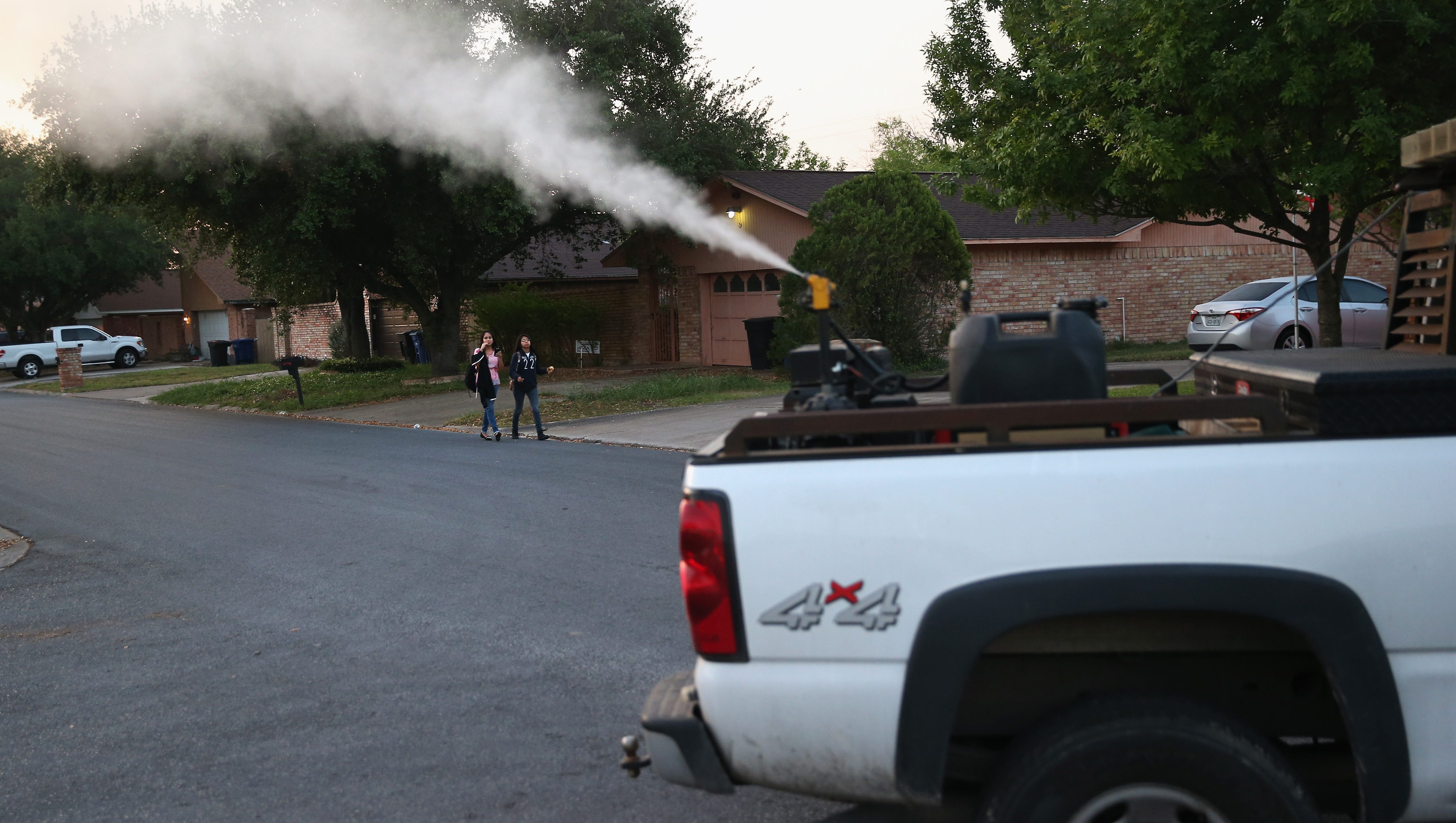 Controlling Zika Mosquitoes May Be Lost Cause