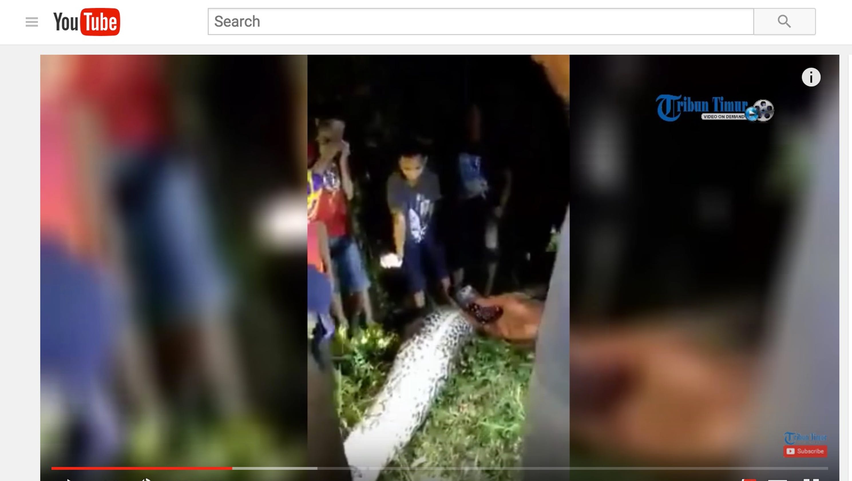 Indonesian Farmer Swallowed Whole By 23 foot long Python Indonesian Farmer Swallowed Whole By 23 foot long Python