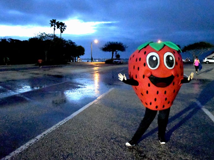  Jammer, of the Florida Strawberry Growers Association.