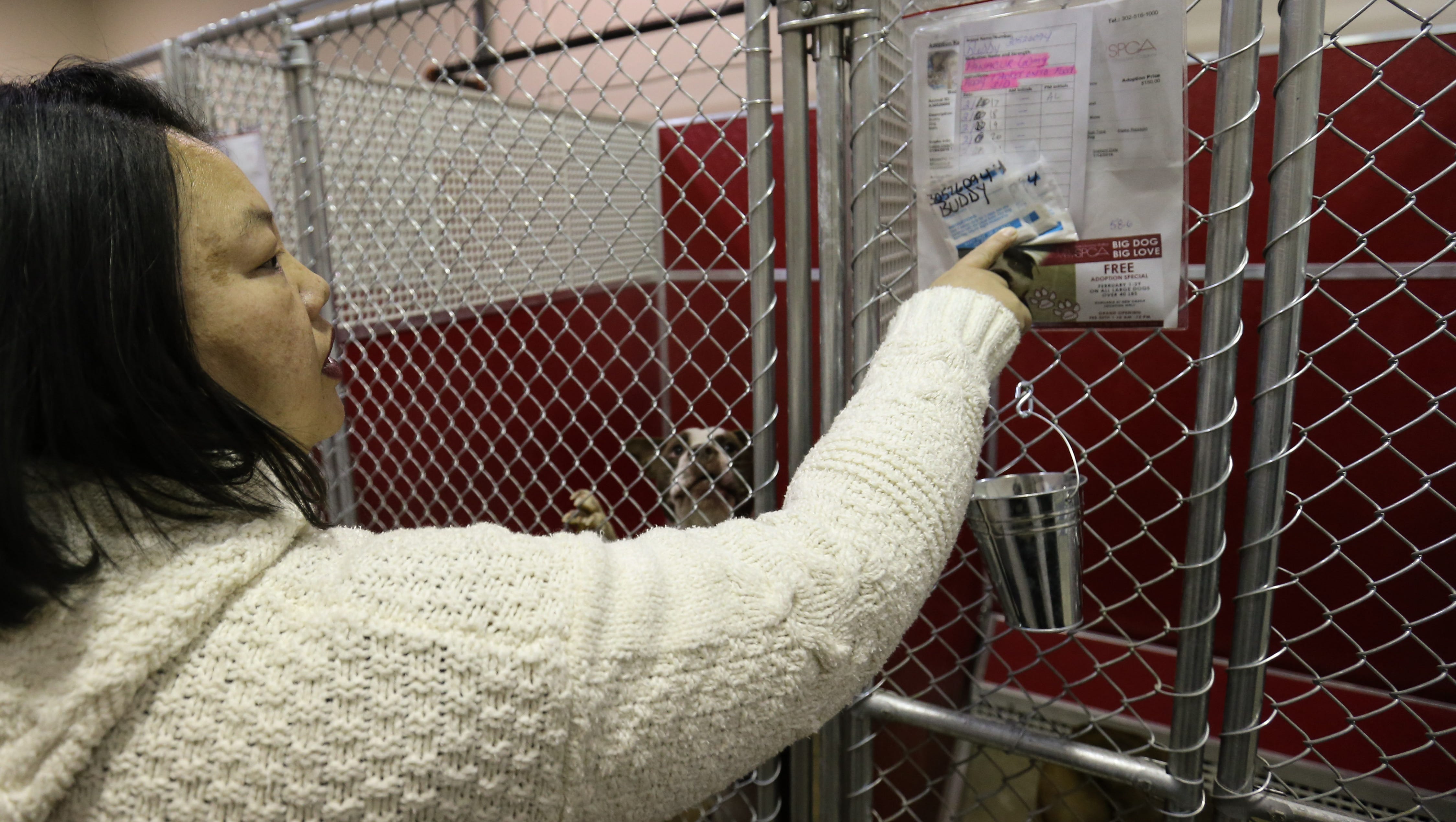 Delaware's two largest animal shelters refuse strays