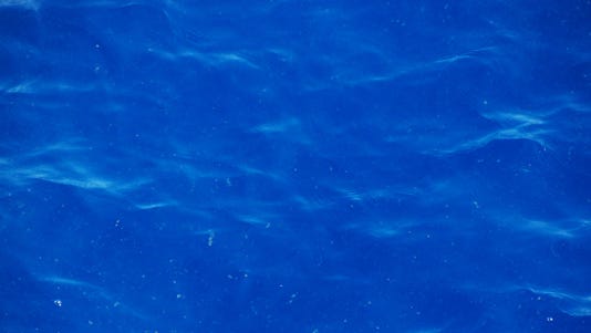 A photo provided by the NOAA Okeanos Explorer Program shows small plastic debris that is visible from the surface of the water.