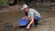 At the Alabama Gold Camp in Lineville, visitors can pan for the precious mineral in a creek.