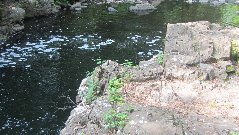Sierra Club Seeks Investigation Of Cedar Grove Swimming Hole