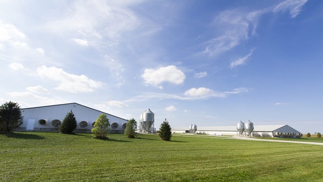 This livestock operation is west and slightly south of Richard Himsel's property, on County Road 425 West in Hendricks County. Himsel lives on the farm his family has owned near Danville since 1940. Himsel has filed a lawsuit challenging the constitutionality of Indiana's Right to Farm laws.