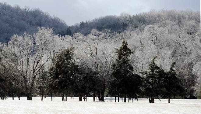 Iced over trees sparkle in the sun at Winstead Hill Park in Franklin on Tuesday.