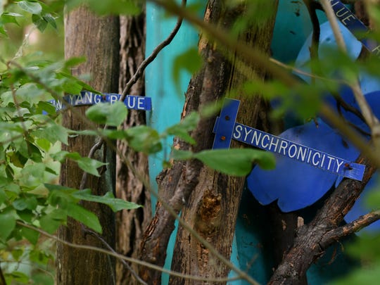 Part of The Blue Loop installation in the wooded lot