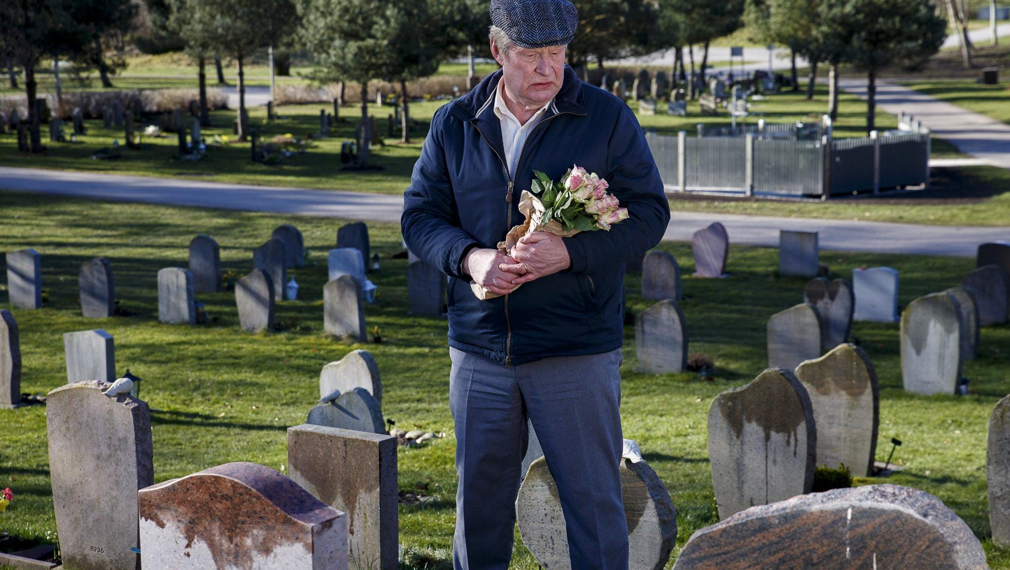 A Man Called Ove Review