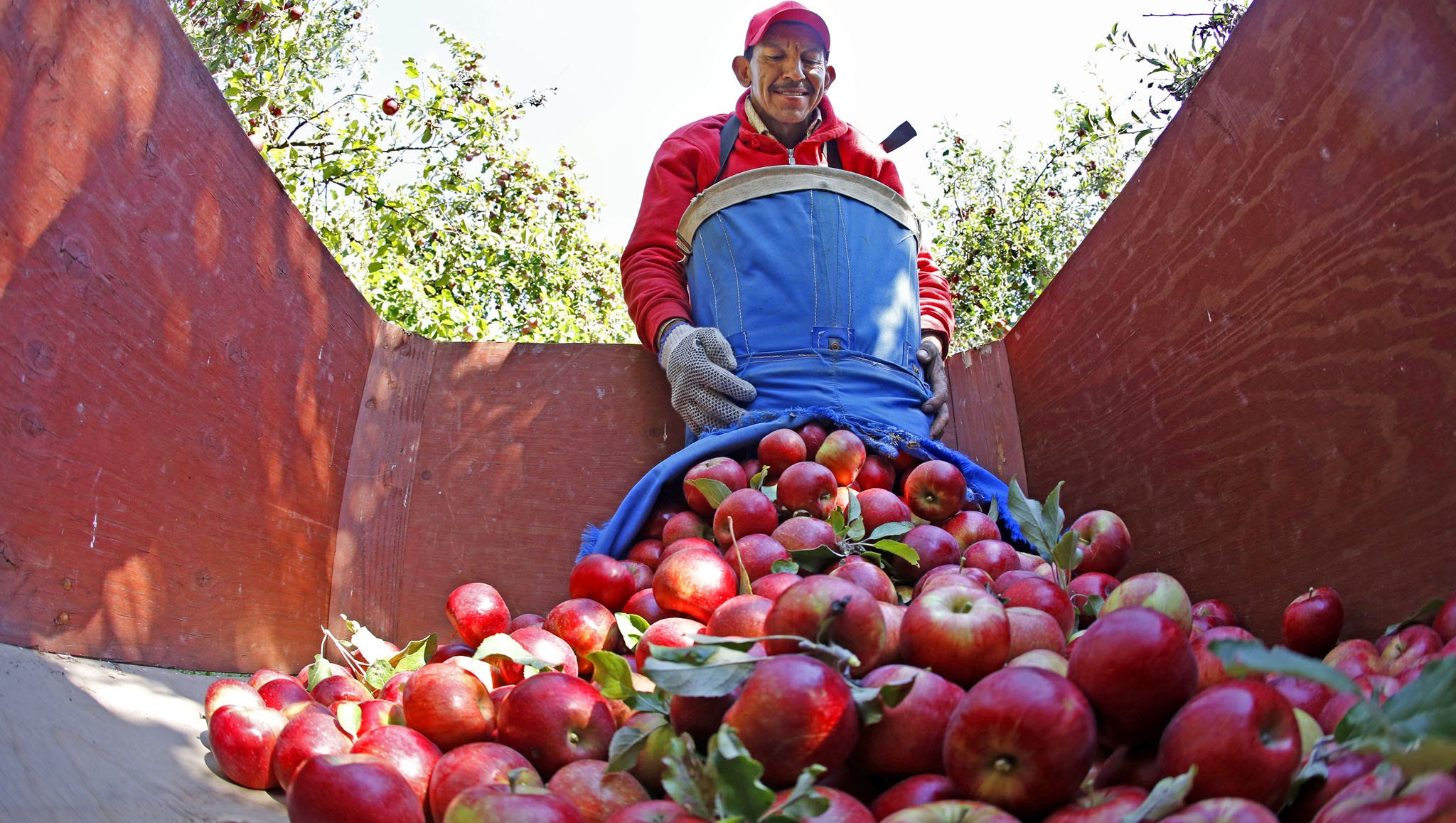 Pumpkin patches, apple orchards and corn mazes in Des Moinesarea