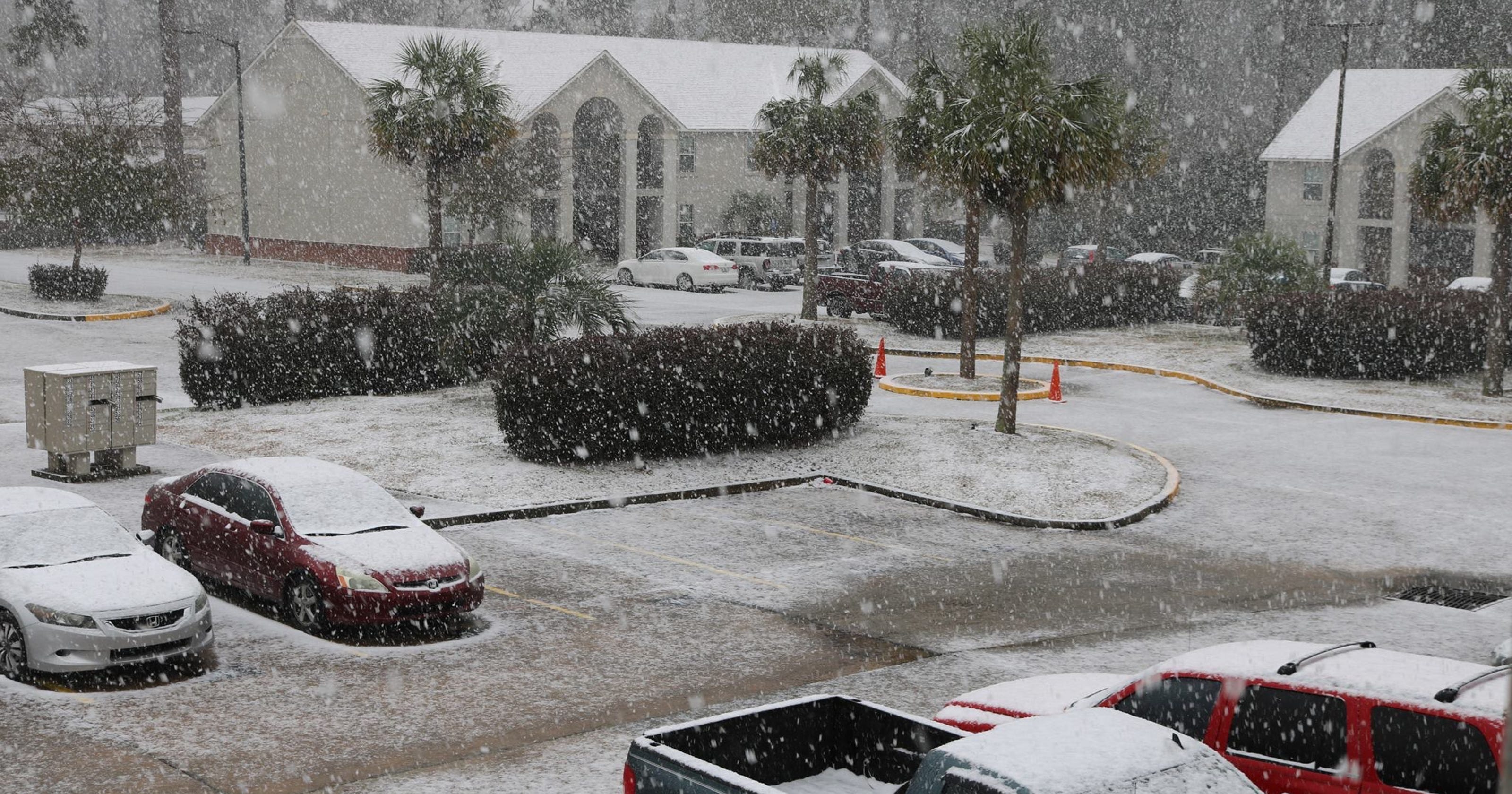 Years It Snowed In Florida