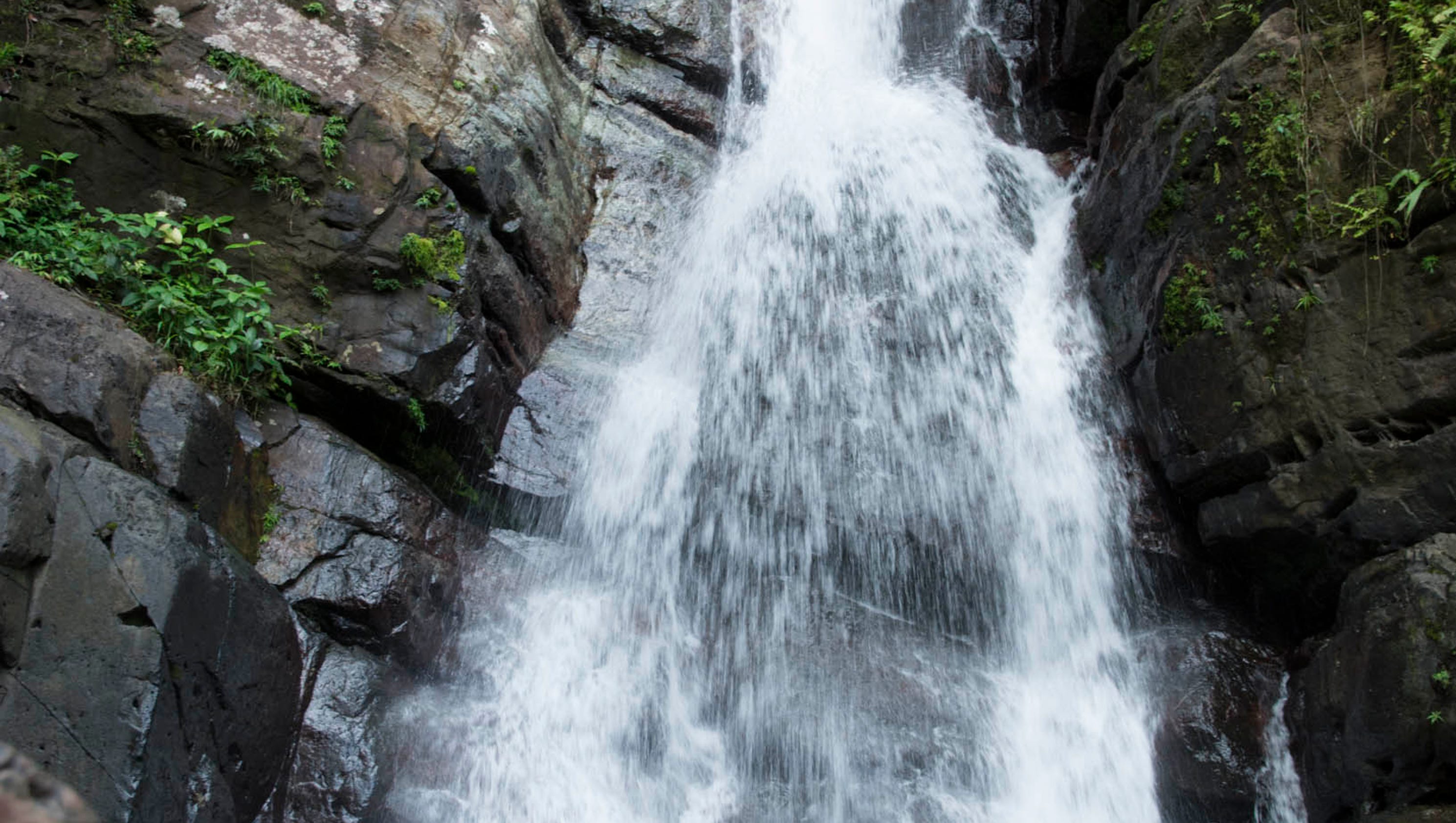 The beauty of Puerto Rico's El Yunque