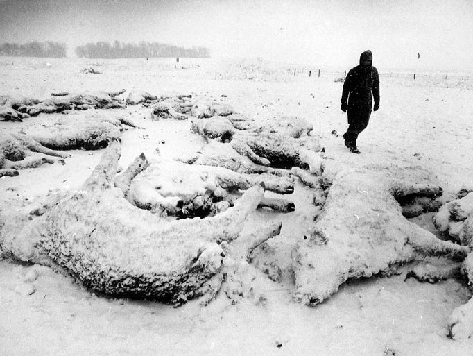 100 photos Farming in Iowa since 1930