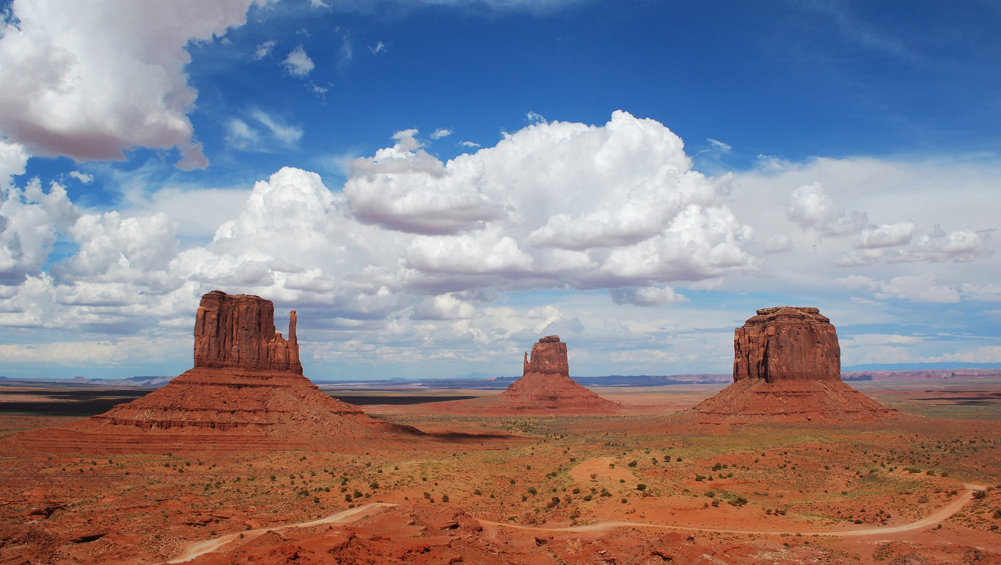 Arizona Western Acres: Where The Desert Meets Adventure