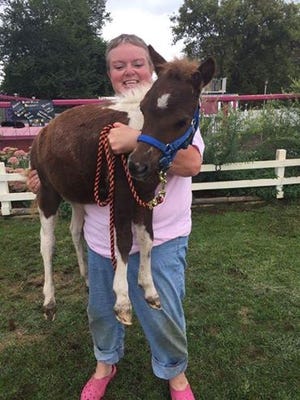 Lisa Brasel of Yankton holds Dakota, a 3-month--old foal who was rescued from the Louisiana floods after his mother drowned.