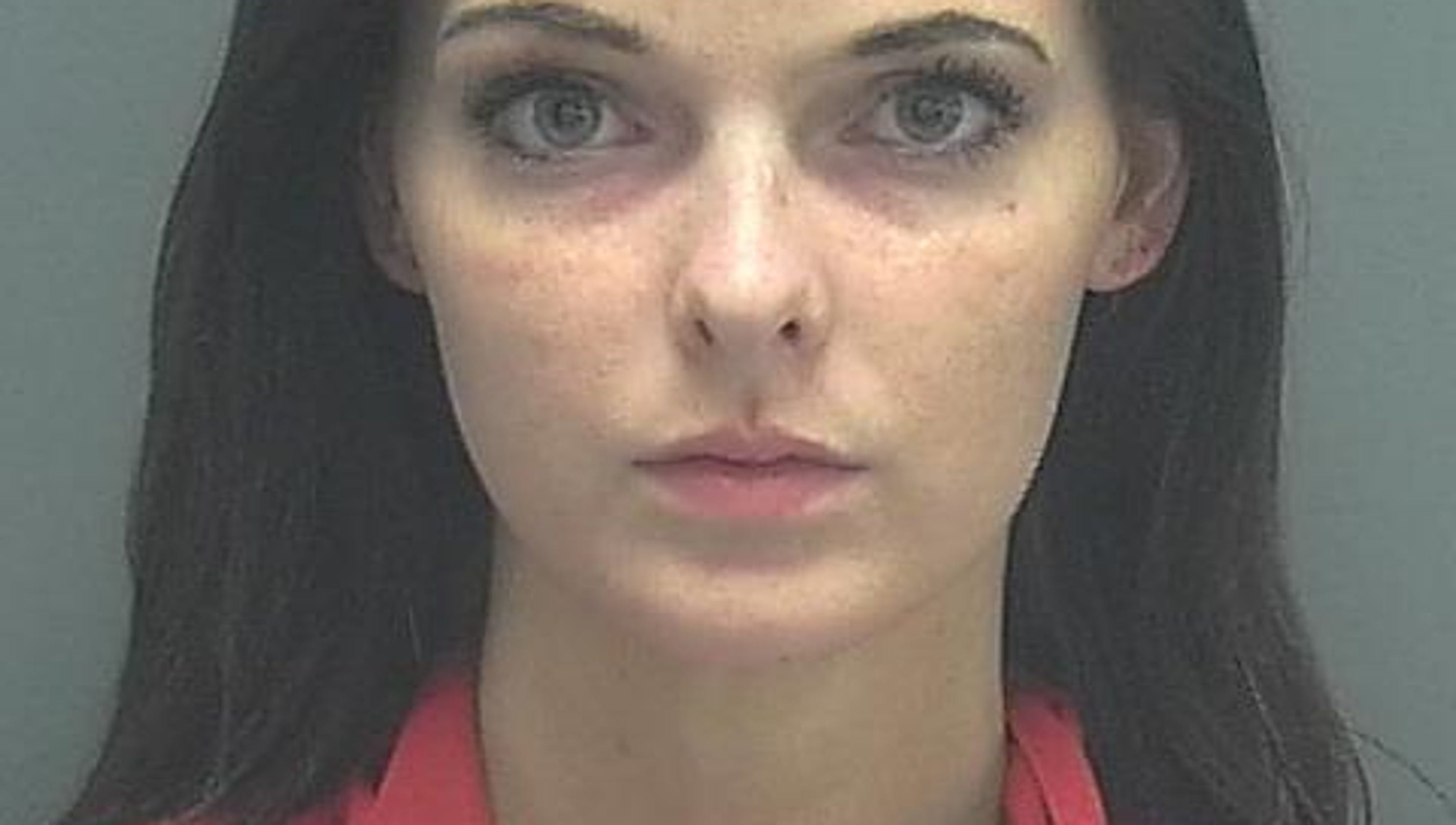 Lee County Arrests 6/10