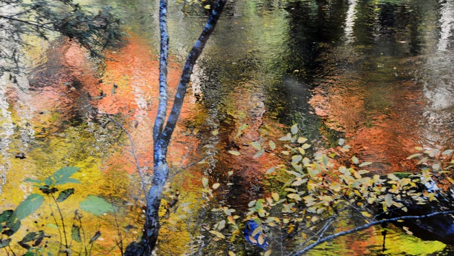 
“A Monet Moment in Gatlinburg” by Jean Tarnok refers to the famed “Waterlillies.”
