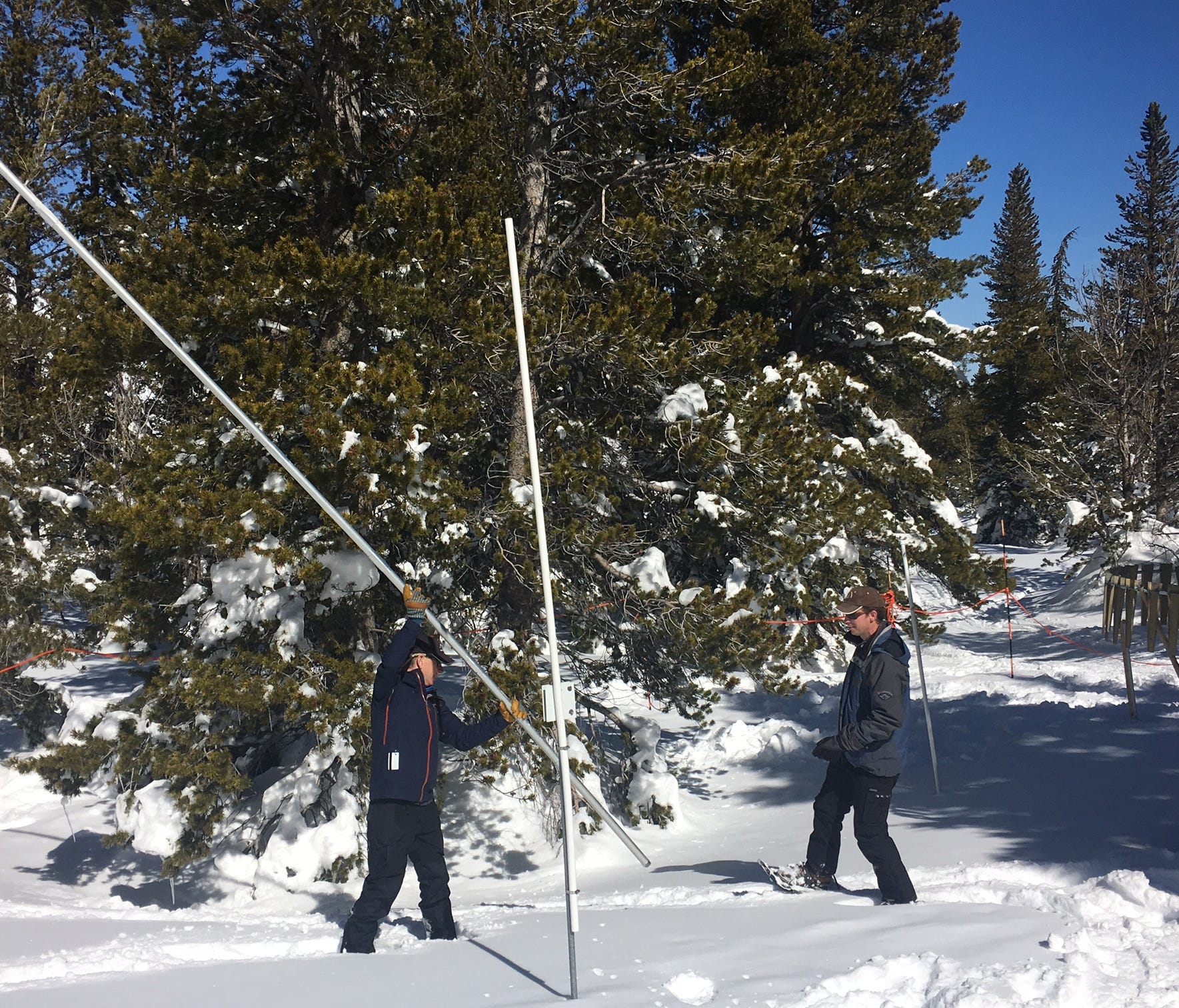 Hydrologist Jeff Anderson and district conservationist Jim Gifford of the Natural Resources Conservation Service Nevada ready a 20-foot tube used to measure snow depth in order to take a measurement of the snowpack on Slide Mountain on March 1, 2017.