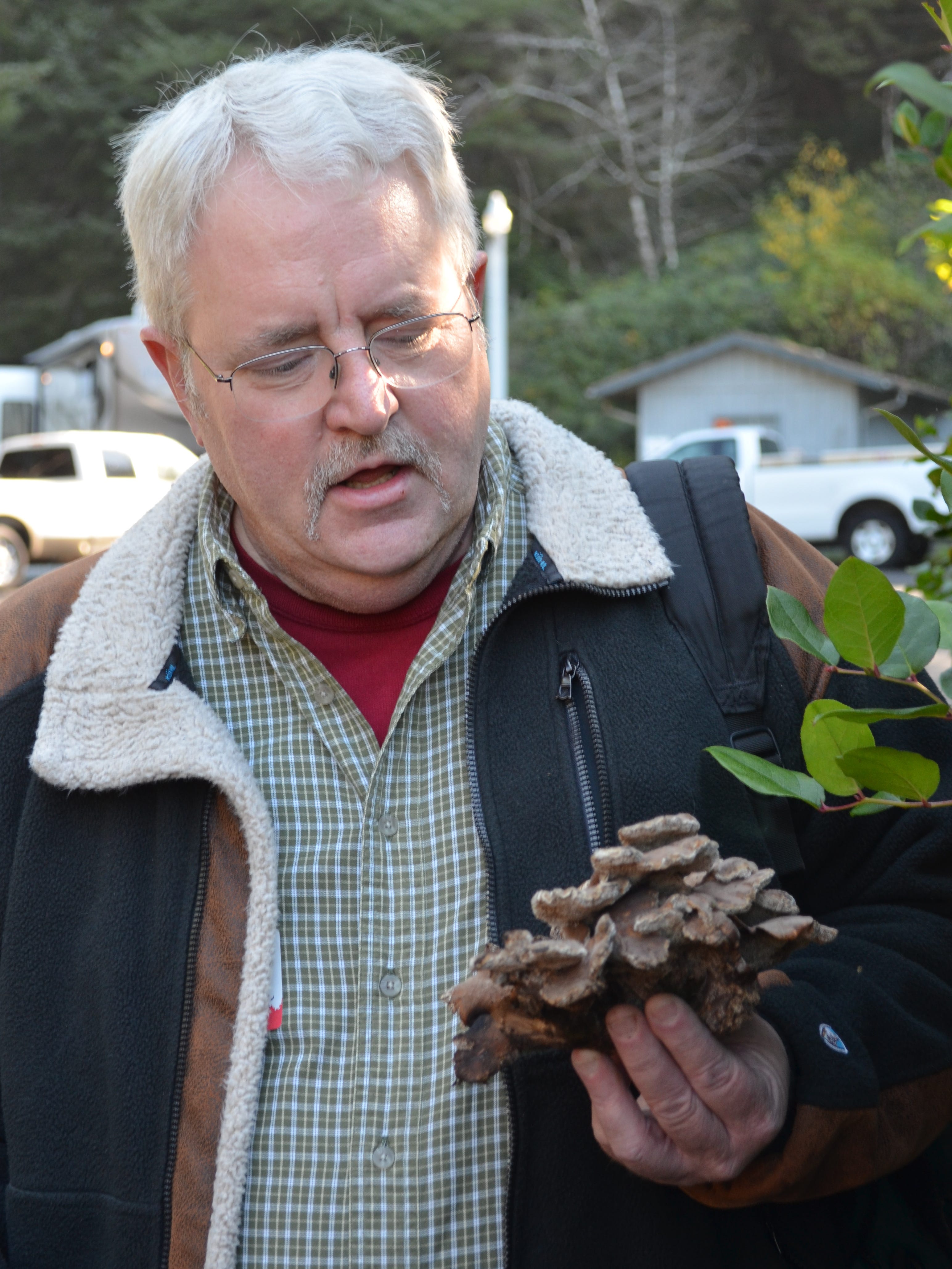 Yachats Oregon Mushroom Festival 2022